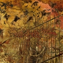 Daily Broken Dream -Freedoom "CD"
